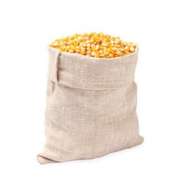 Photo of Fresh corn kernels in burlap sack isolated on white