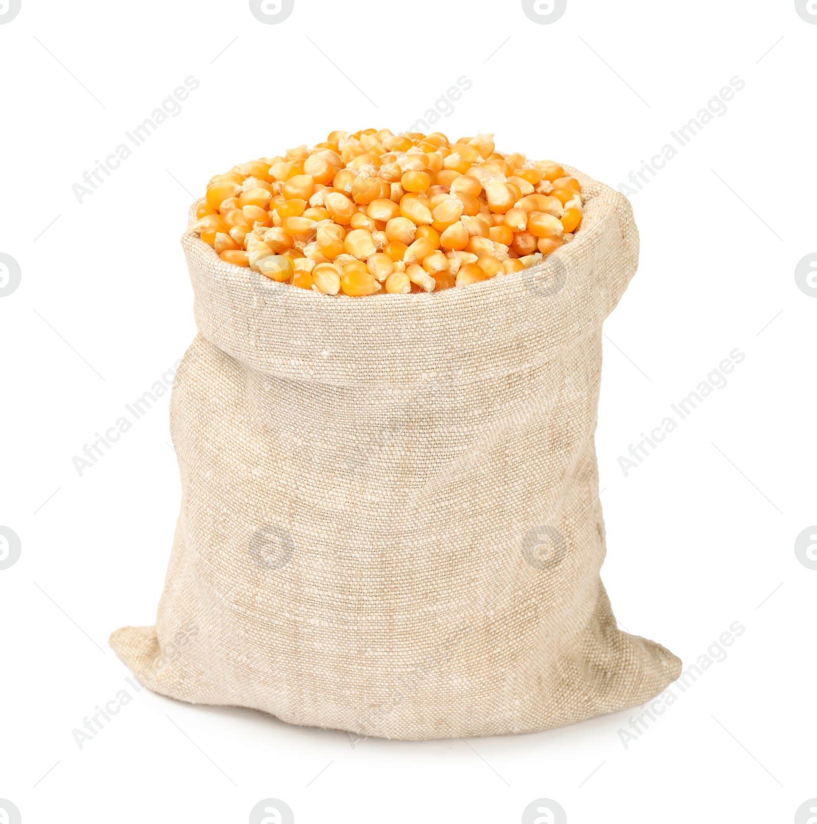 Photo of Fresh corn kernels in burlap sack isolated on white