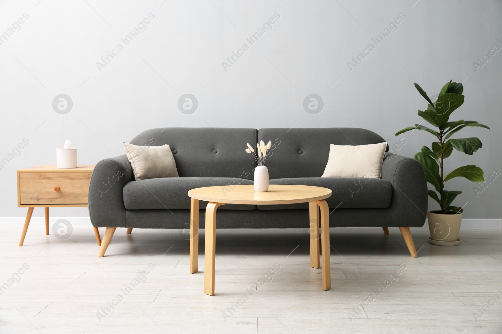 Photo of Comfortable sofa, tables and houseplant near grey wall in room