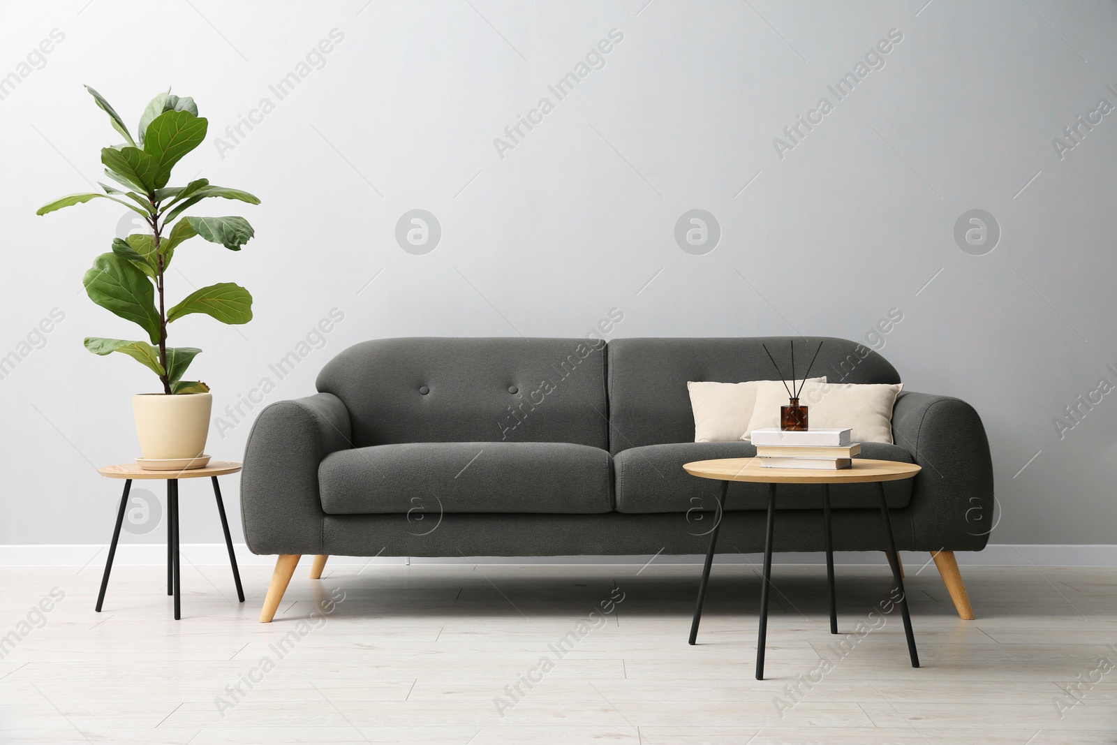 Photo of Comfortable sofa, tables and houseplant near grey wall in room