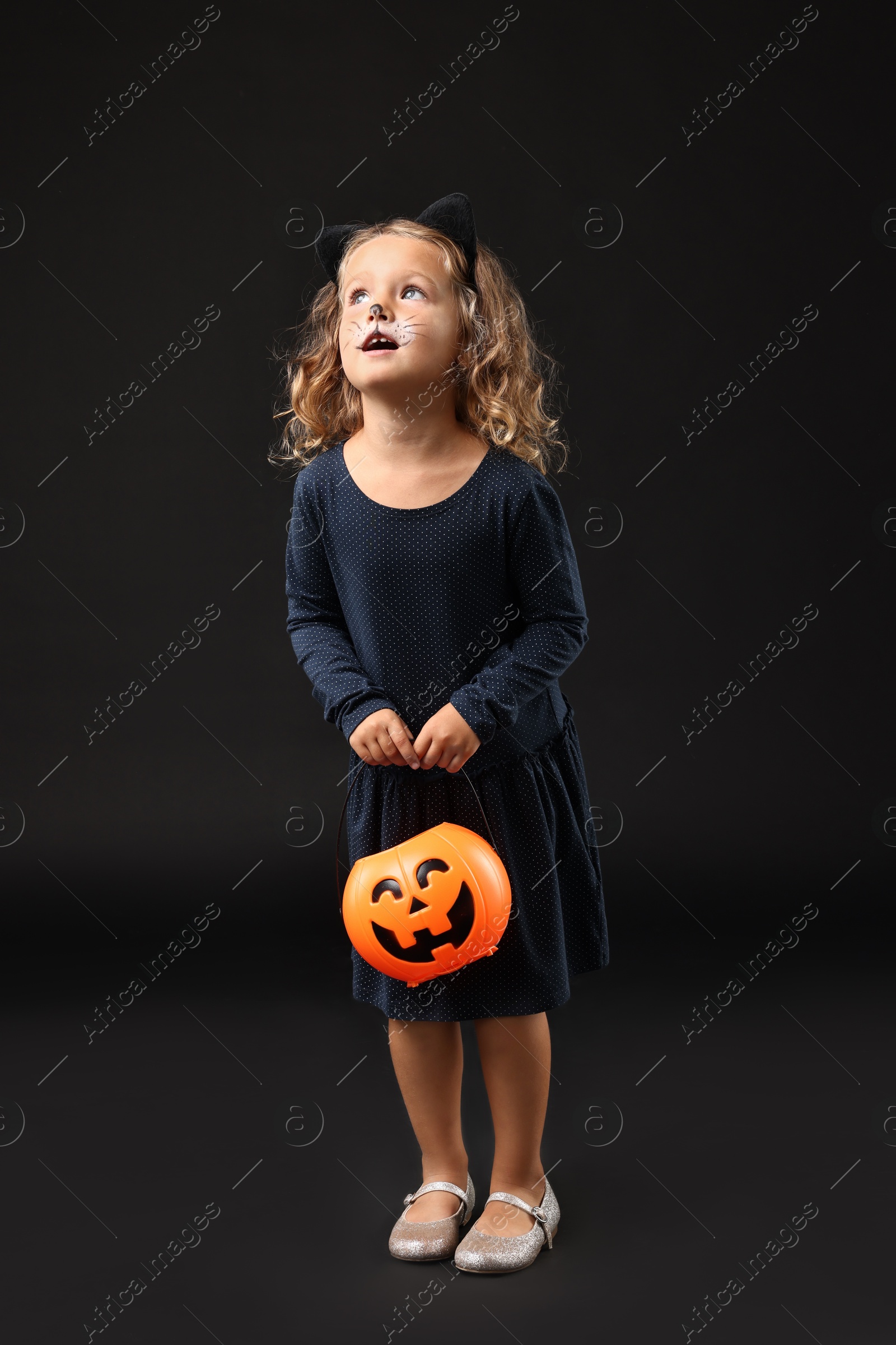 Photo of Cute girl with pumpkin bucket dressed like cat for Halloween celebration on black background