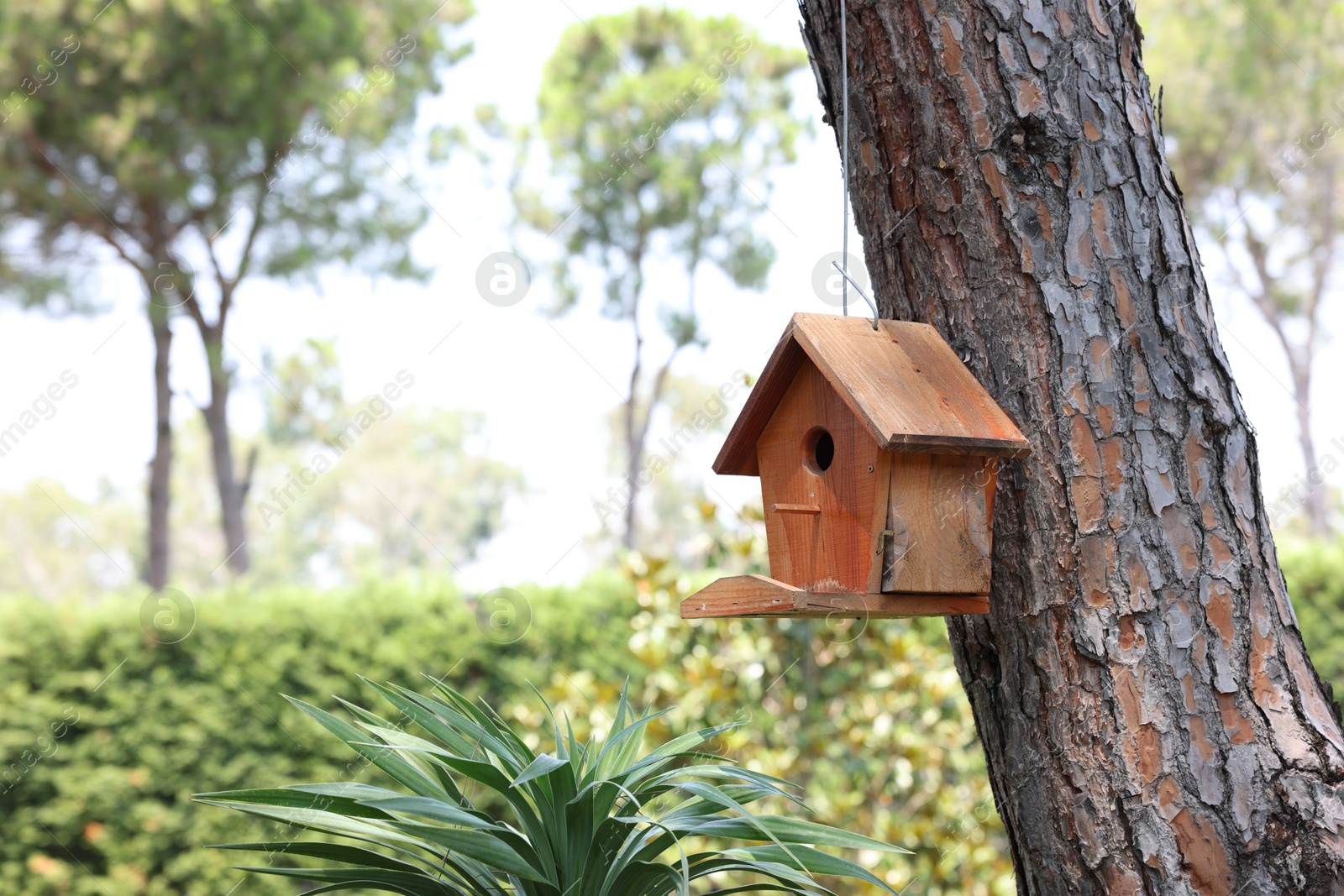 Photo of Beautiful wooden birdhouse hanging on tree trunk in park