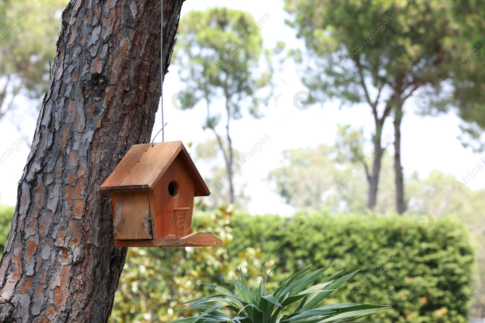 Photo of Beautiful wooden birdhouse hanging on tree trunk in park