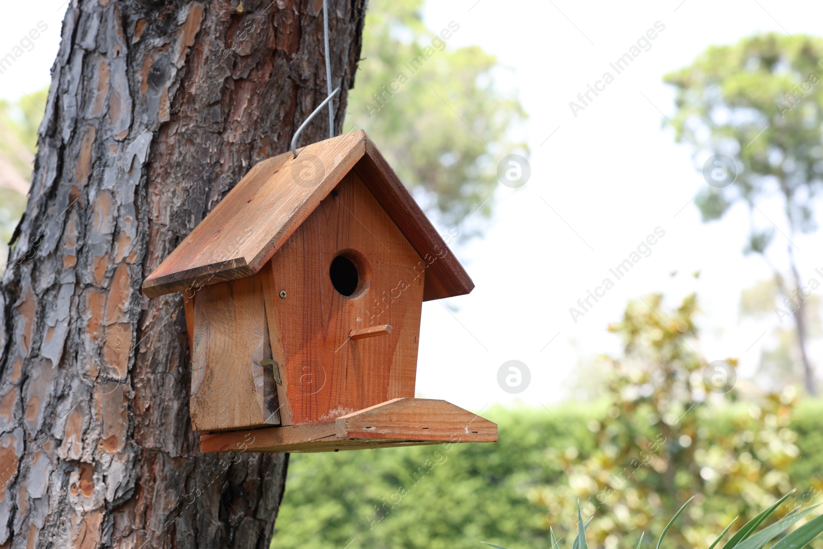 Photo of Beautiful wooden birdhouse hanging on tree trunk in park