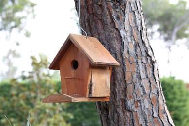 Photo of Beautiful wooden birdhouse hanging on tree trunk in park