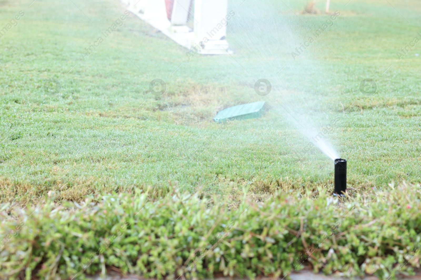 Photo of Automatic sprinkler watering green grass in garden