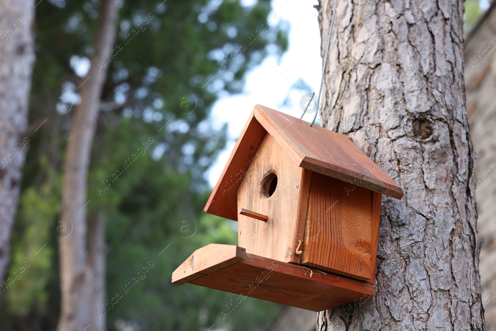 Photo of Beautiful wooden birdhouse hanging on tree trunk in park