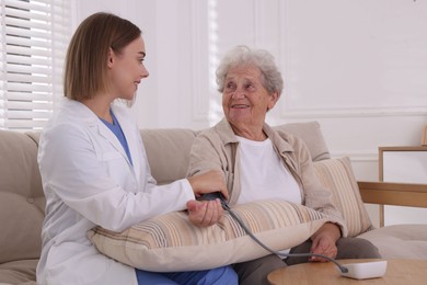 Doctor measuring patient's blood pressure on sofa indoors