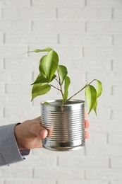 Photo of Recycling concept. Woman holding metal can with growing plant against white brick wall, closeup