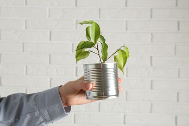 Photo of Recycling concept. Woman holding metal can with growing plant against white brick wall, closeup