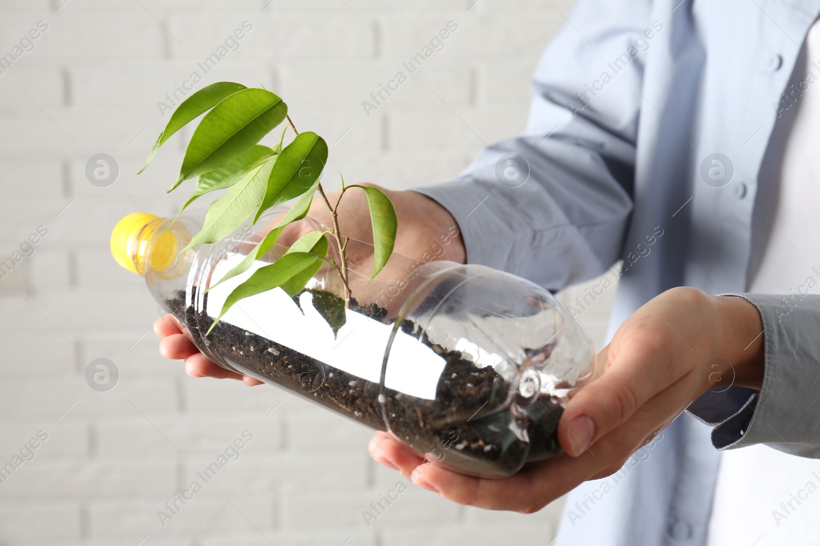 Photo of Recycling concept. Woman holding plastic bottle with growing plant against white brick wall, closeup