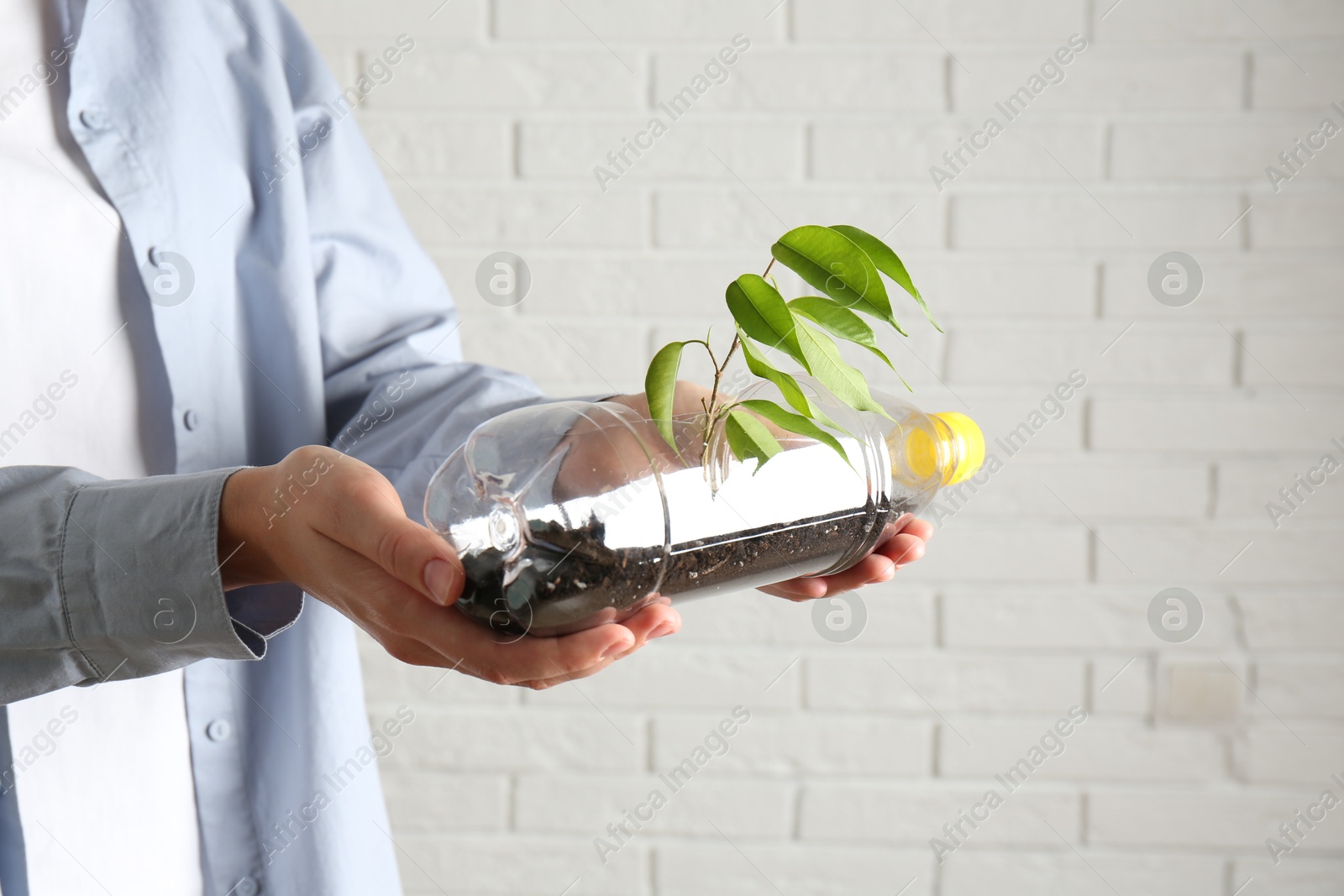 Photo of Recycling concept. Woman holding plastic bottle with growing plant against white brick wall, closeup