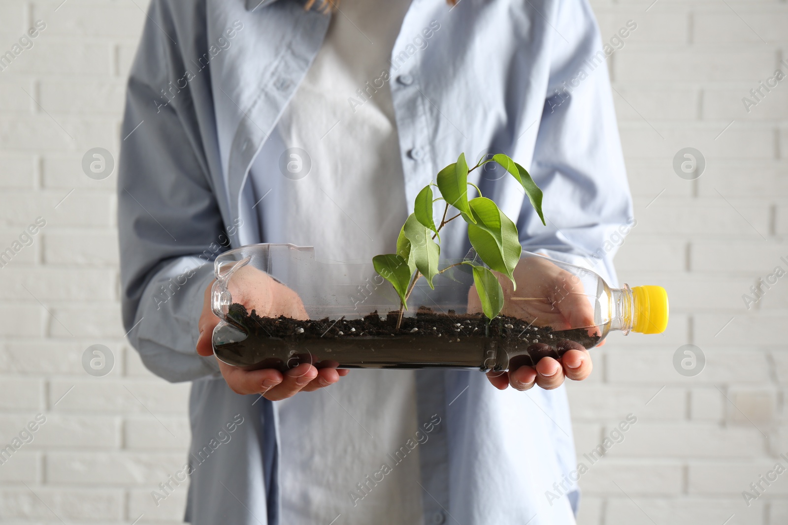 Photo of Recycling concept. Woman holding plastic bottle with growing plant against white brick wall, closeup