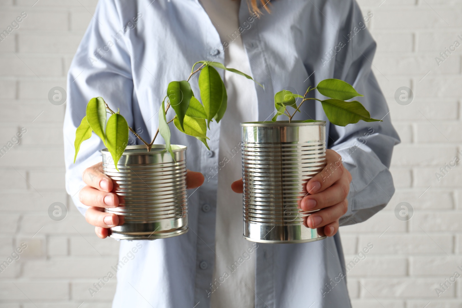 Photo of Recycling concept. Woman holding metal cans with growing plants against white brick wall, closeup