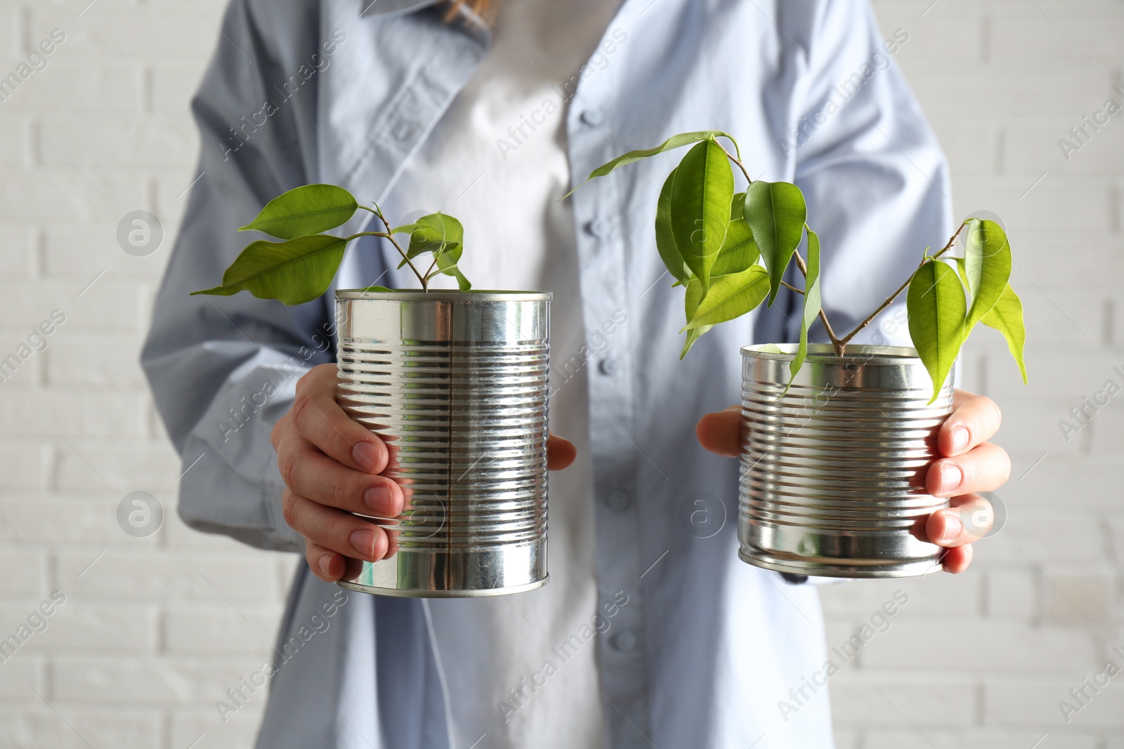 Photo of Recycling concept. Woman holding metal cans with growing plants against white brick wall, closeup