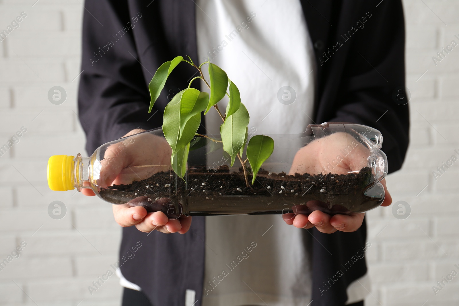 Photo of Recycling concept. Woman holding plastic bottle with growing plant against white brick wall, closeup