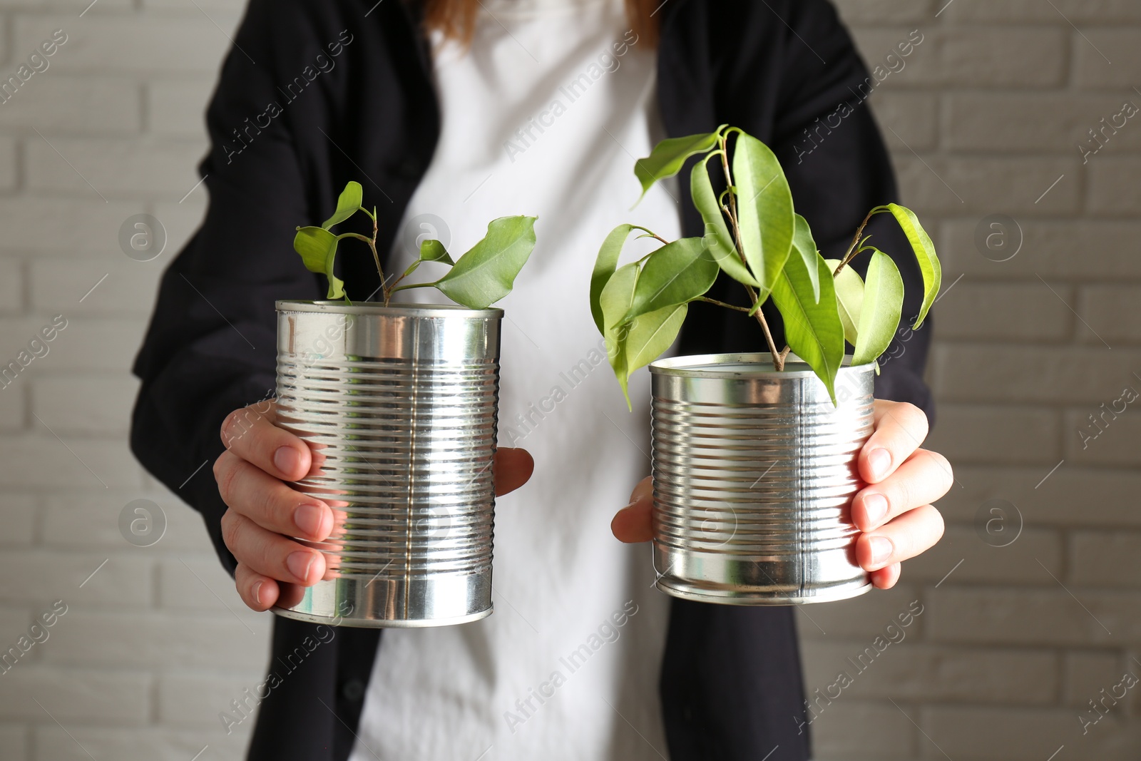 Photo of Recycling concept. Woman holding metal cans with growing plants against white brick wall, closeup