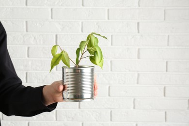 Photo of Recycling concept. Woman holding metal can with growing plant against white brick wall, closeup. Space for text