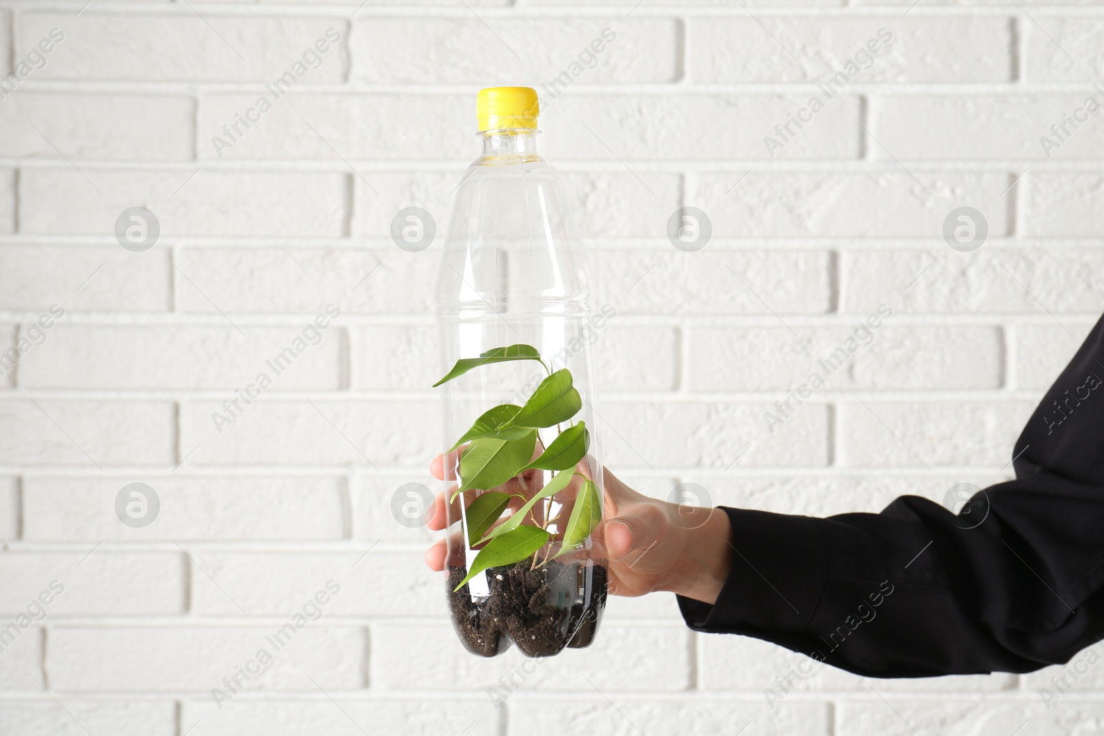 Photo of Recycling concept. Woman holding plastic bottle with growing plant against white brick wall, closeup