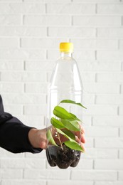 Photo of Recycling concept. Woman holding plastic bottle with growing plant against white brick wall, closeup