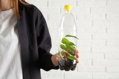 Photo of Recycling concept. Woman holding plastic bottle with growing plant against white brick wall, closeup