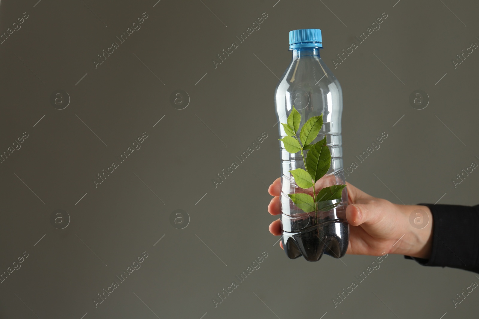 Photo of Recycling concept. Woman holding plastic bottle with growing plant against grey background, closeup. Space for text