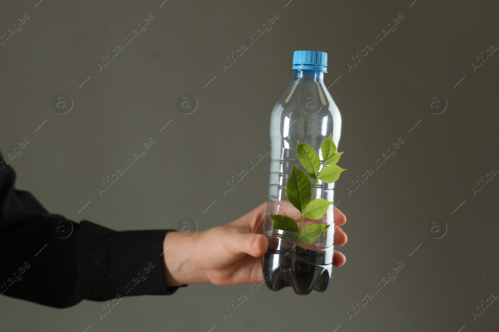 Photo of Recycling concept. Woman holding plastic bottle with growing plant against grey background, closeup