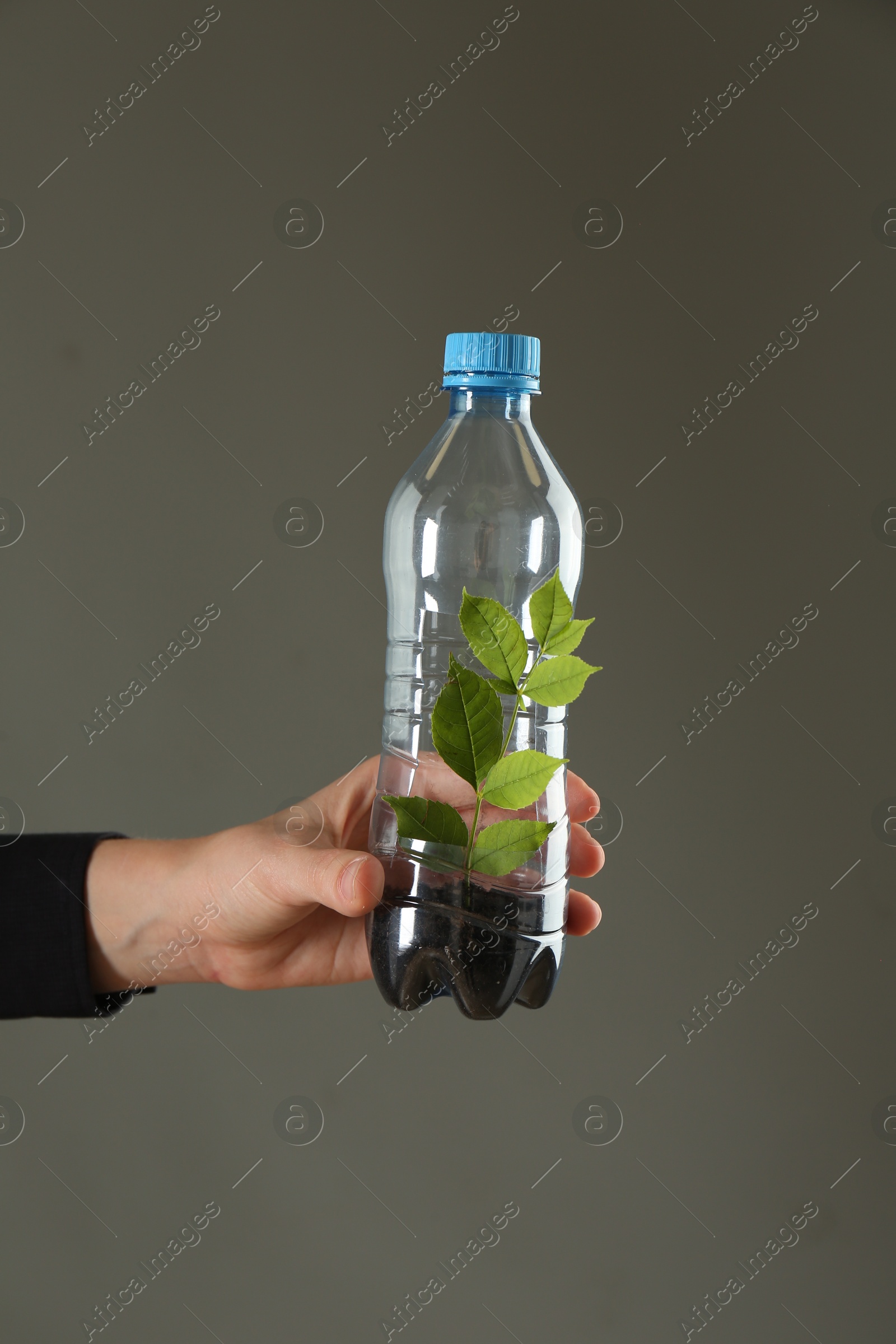 Photo of Recycling concept. Woman holding plastic bottle with growing plant against grey background, closeup