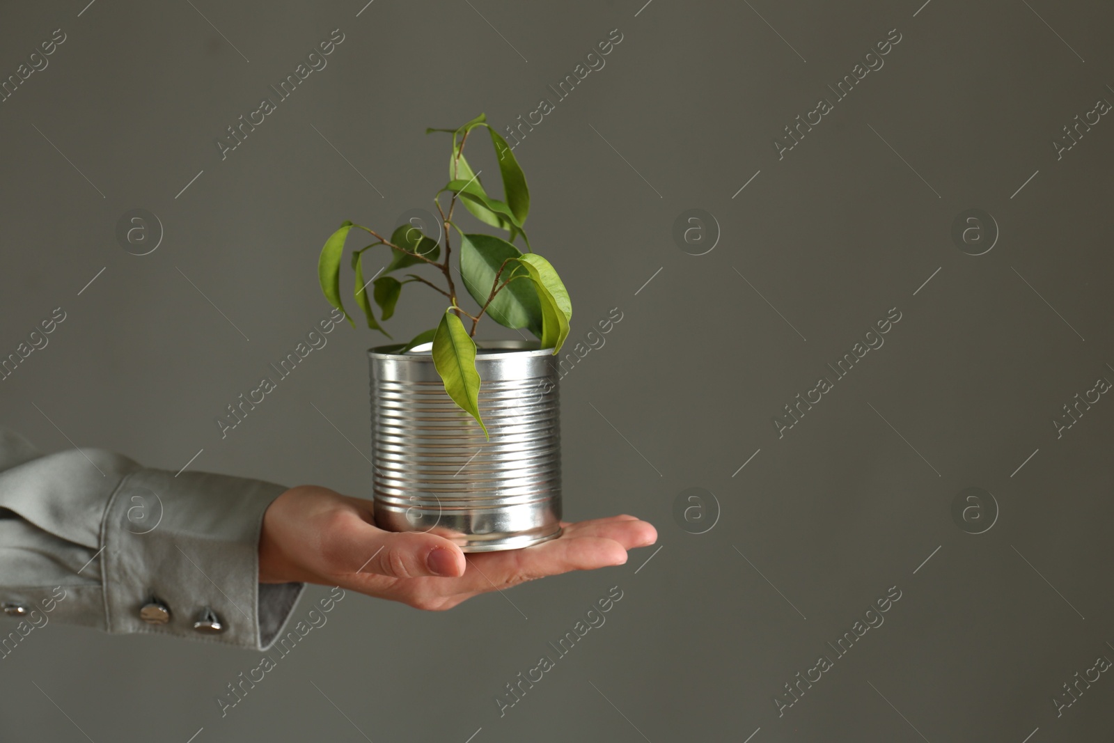 Photo of Recycling concept. Woman holding metal can with growing plant against grey background, closeup. Space for text