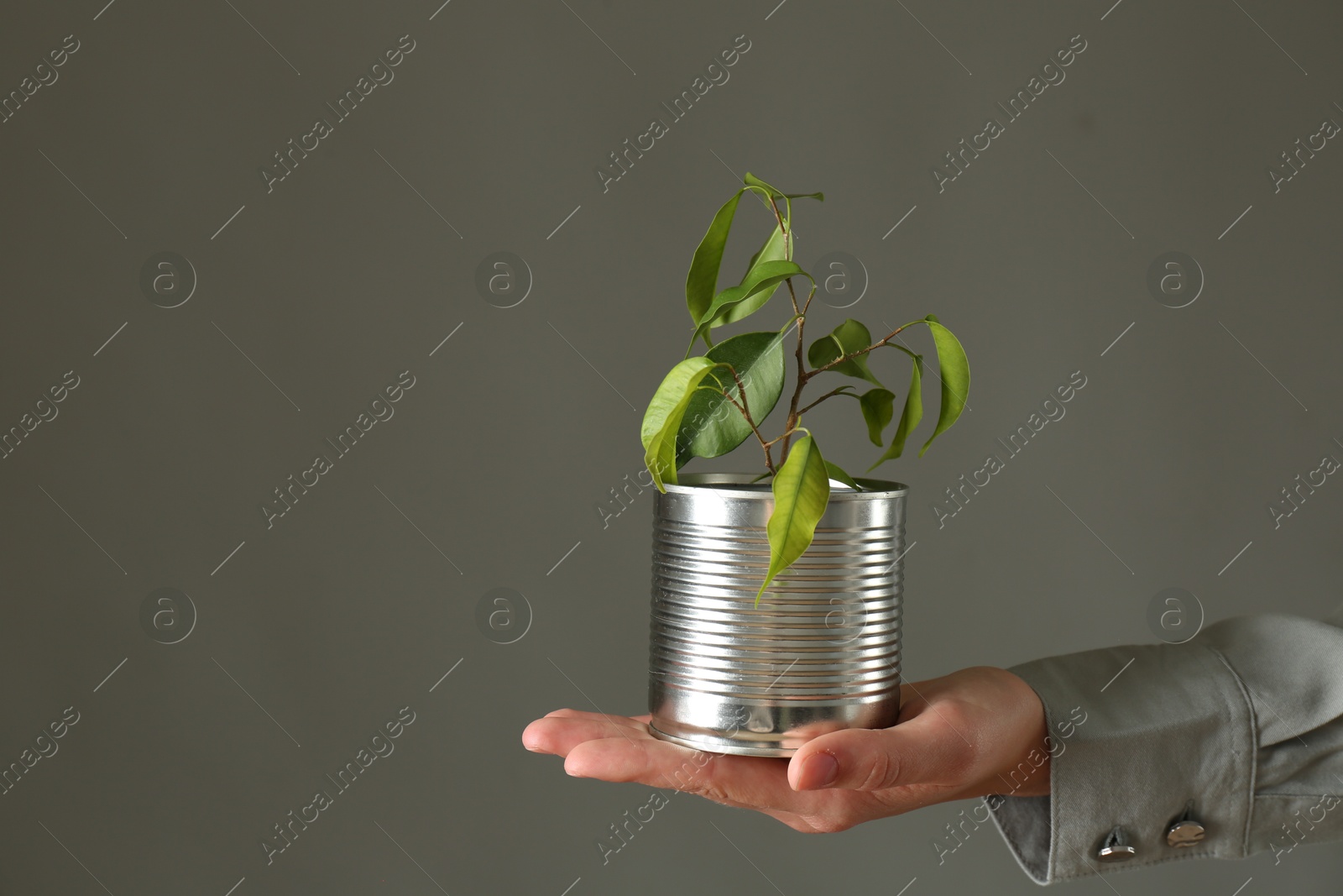 Photo of Recycling concept. Woman holding metal can with growing plant against grey background, closeup. Space for text