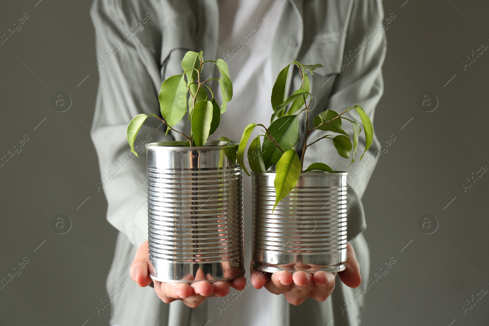 Photo of Recycling concept. Woman holding metal cans with growing plants against grey background, closeup