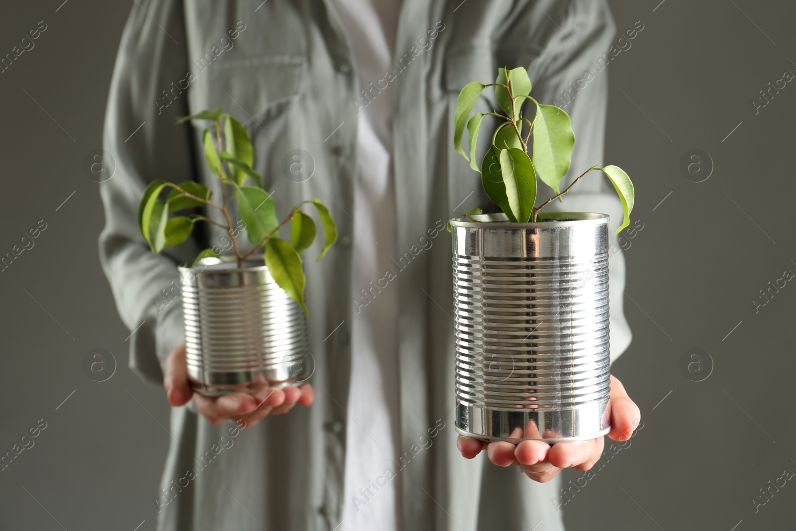 Photo of Recycling concept. Woman holding metal cans with growing plants against grey background, closeup