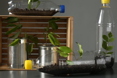 Photo of Recycling concept. Metal cans and plastic bottles with growing plants on grey table