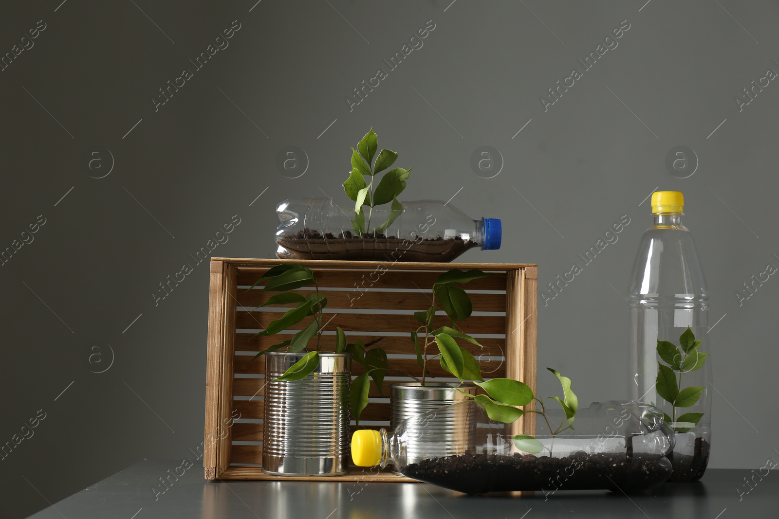 Photo of Recycling concept. Metal cans and plastic bottles with growing plants on grey table