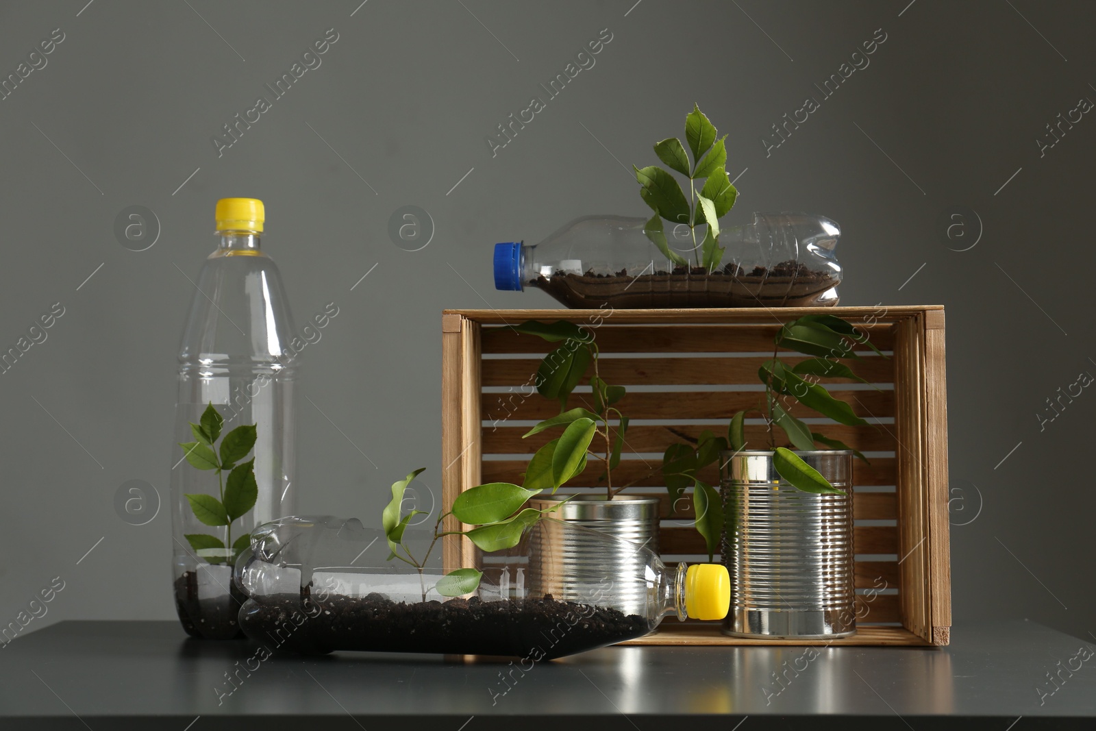 Photo of Recycling concept. Metal cans and plastic bottles with growing plants on grey table