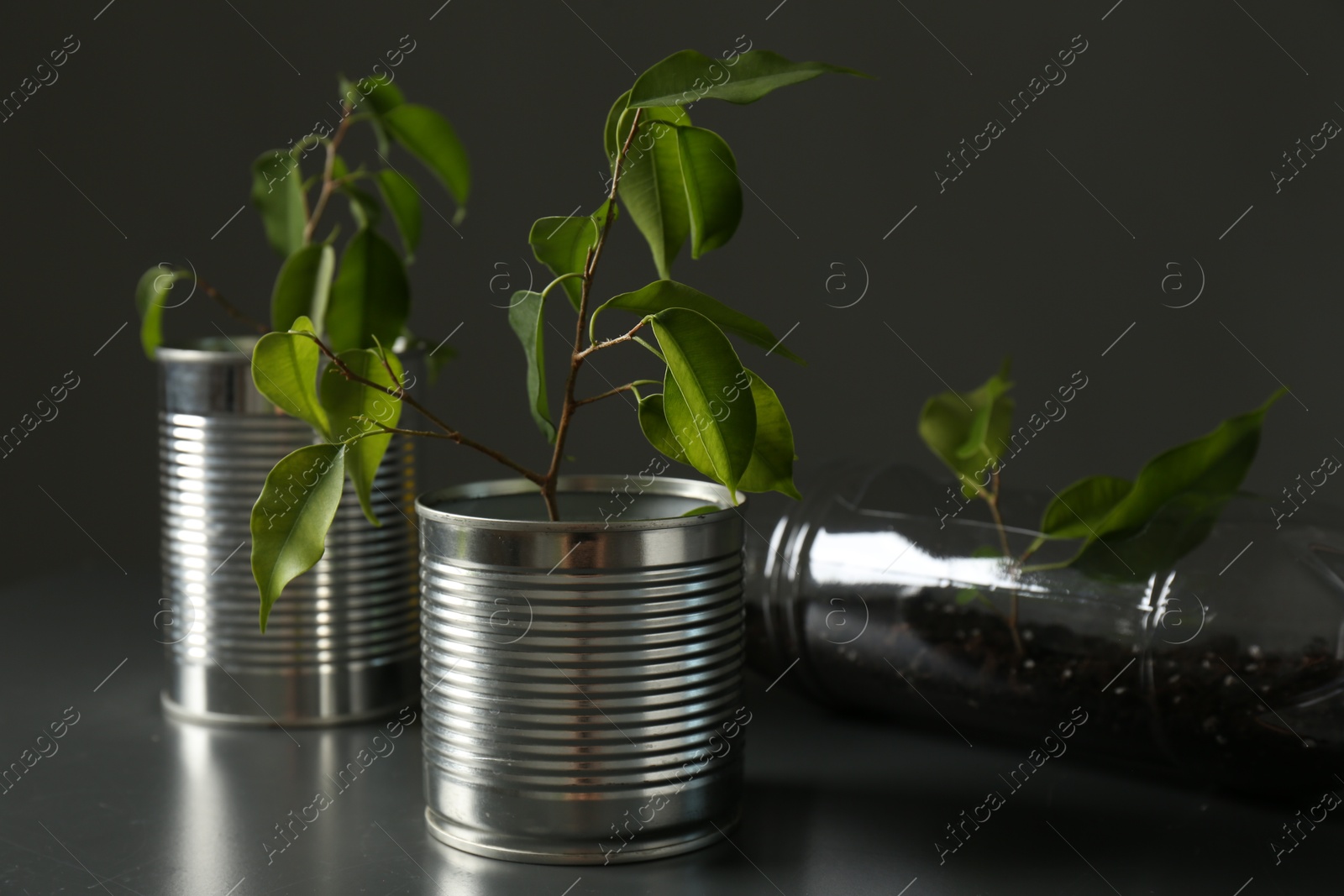 Photo of Recycling concept. Metal cans and plastic bottle with growing plants on grey table