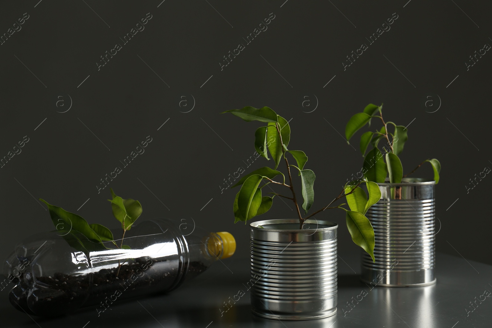 Photo of Recycling concept. Metal cans and plastic bottle with growing plants on grey table