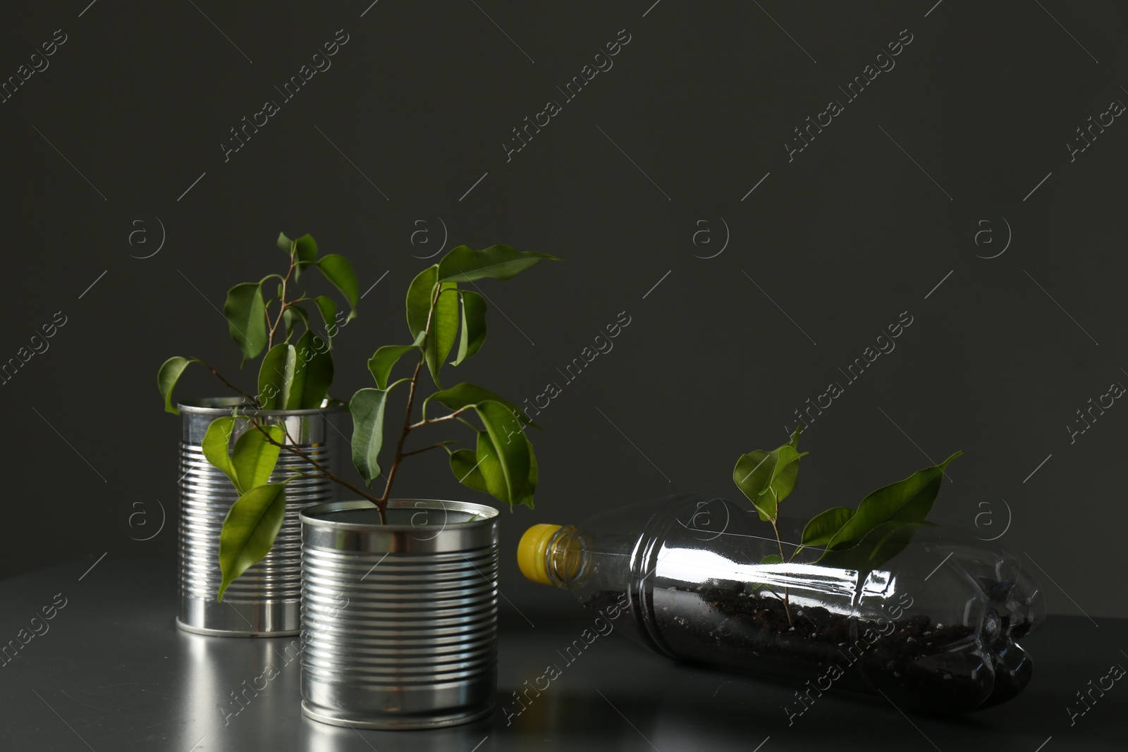 Photo of Recycling concept. Metal cans and plastic bottle with growing plants on grey table