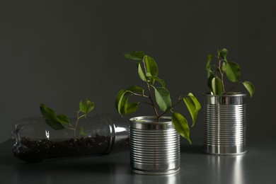 Photo of Recycling concept. Metal cans and plastic bottle with growing plants on grey table