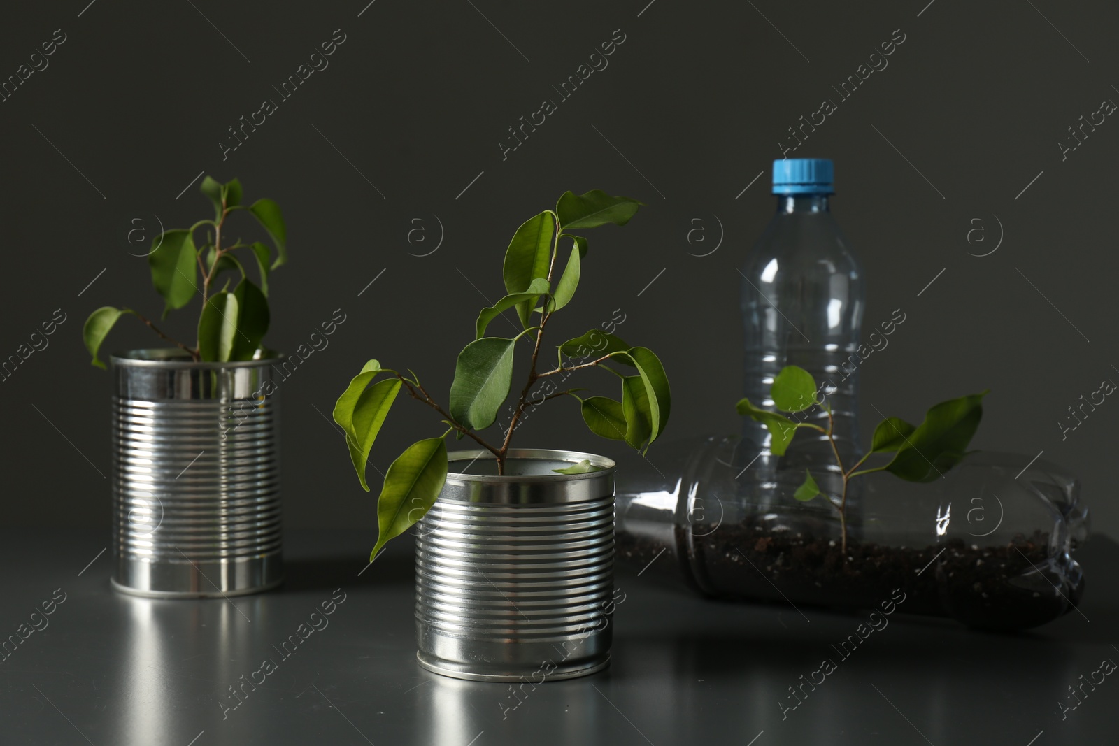 Photo of Recycling concept. Metal cans and plastic bottles with growing plants on grey table