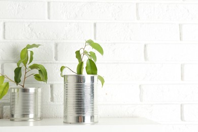 Photo of Recycling concept. Metal cans with growing plants on white table, space for text