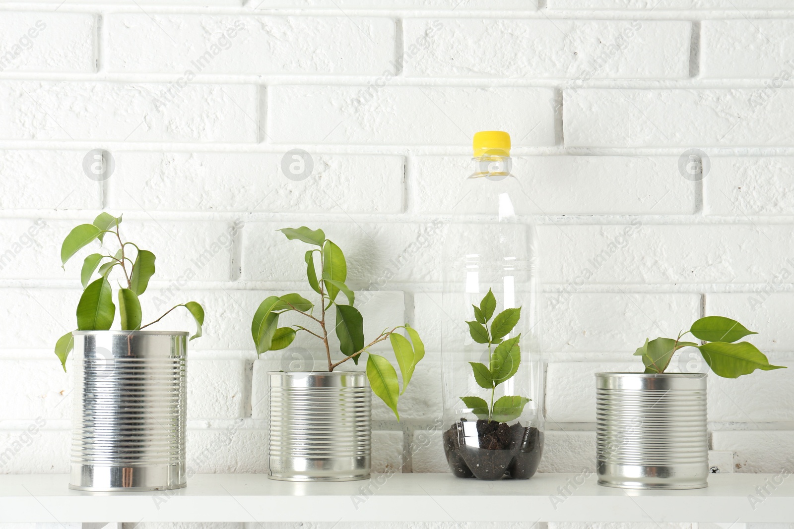 Photo of Recycling concept. Metal cans and plastic bottle with growing plants on white table