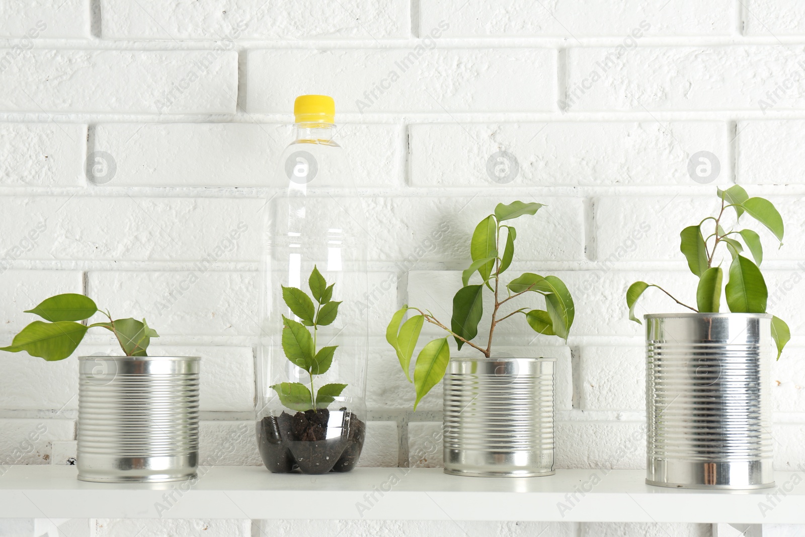 Photo of Recycling concept. Metal cans and plastic bottle with growing plants on white table