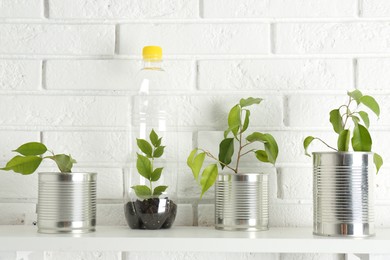 Photo of Recycling concept. Metal cans and plastic bottle with growing plants on white table