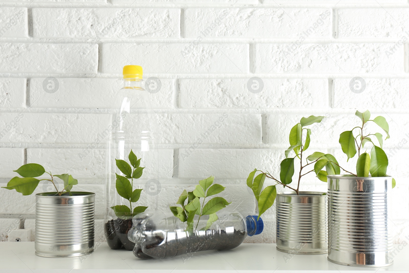 Photo of Recycling concept. Metal cans and plastic bottles with growing plants on white table