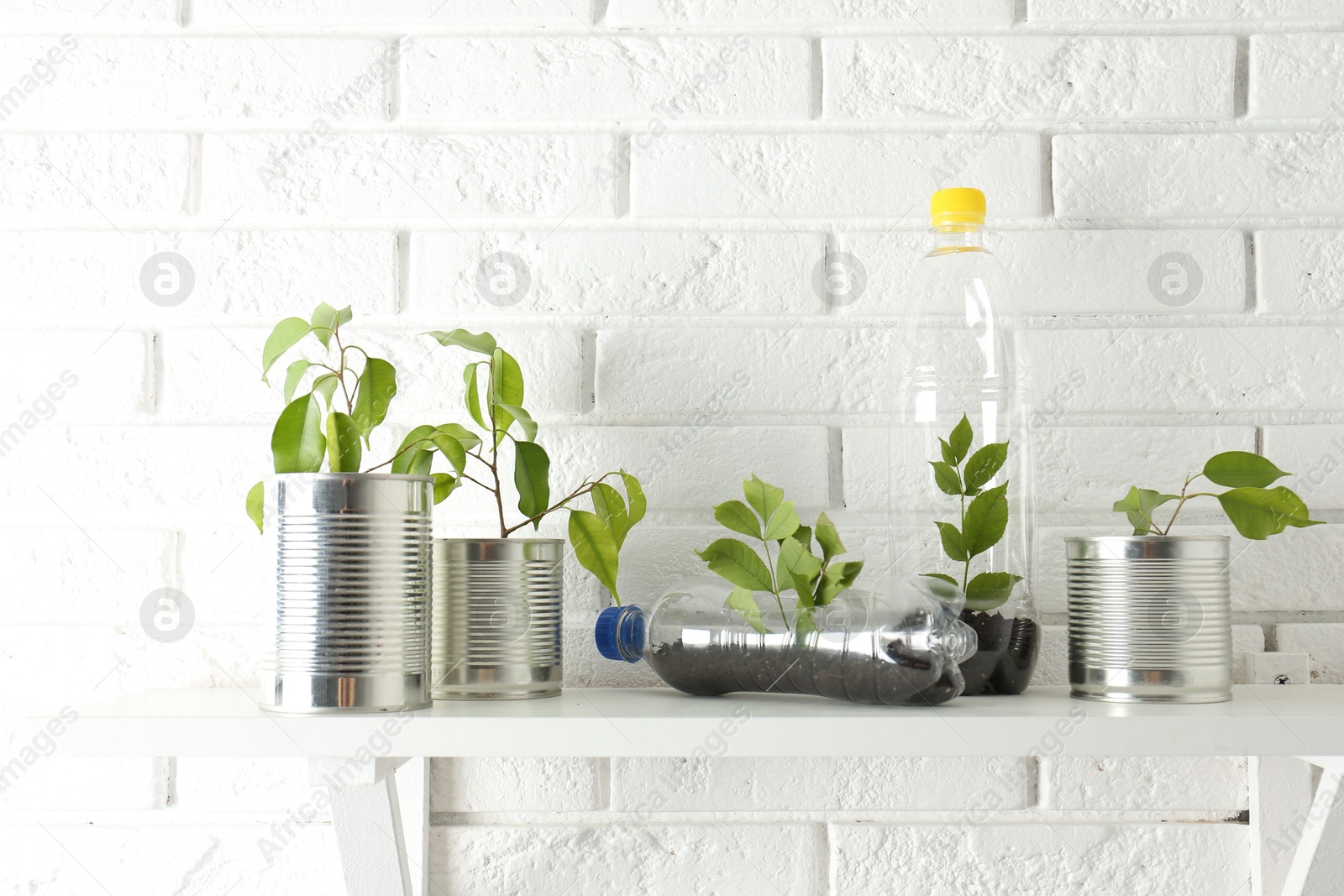 Photo of Recycling concept. Metal cans and plastic bottles with growing plants on white table