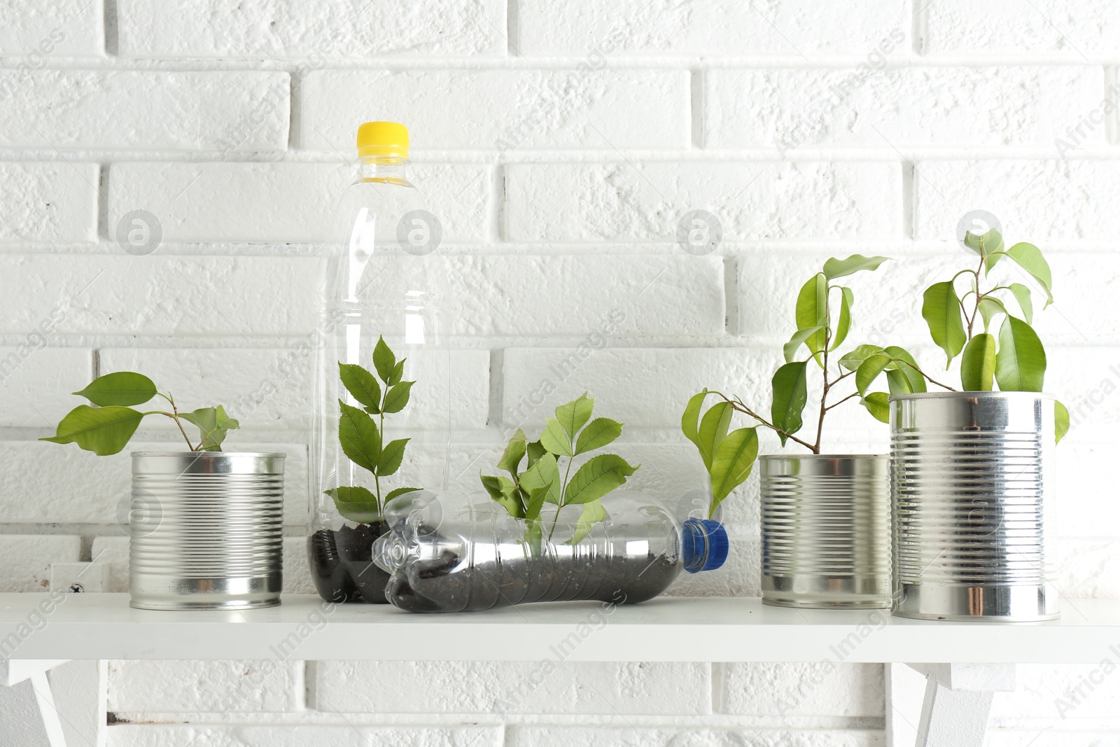 Photo of Recycling concept. Metal cans and plastic bottles with growing plants on white table