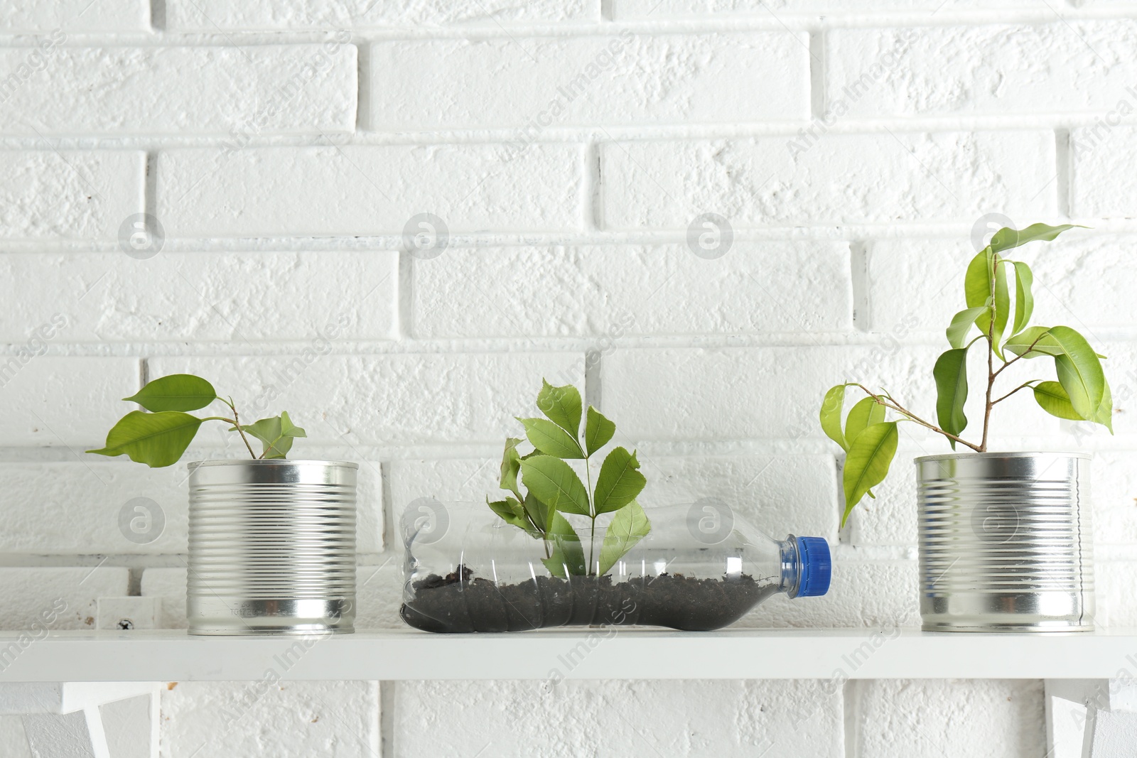 Photo of Recycling concept. Metal cans and plastic bottle with growing plants on white table