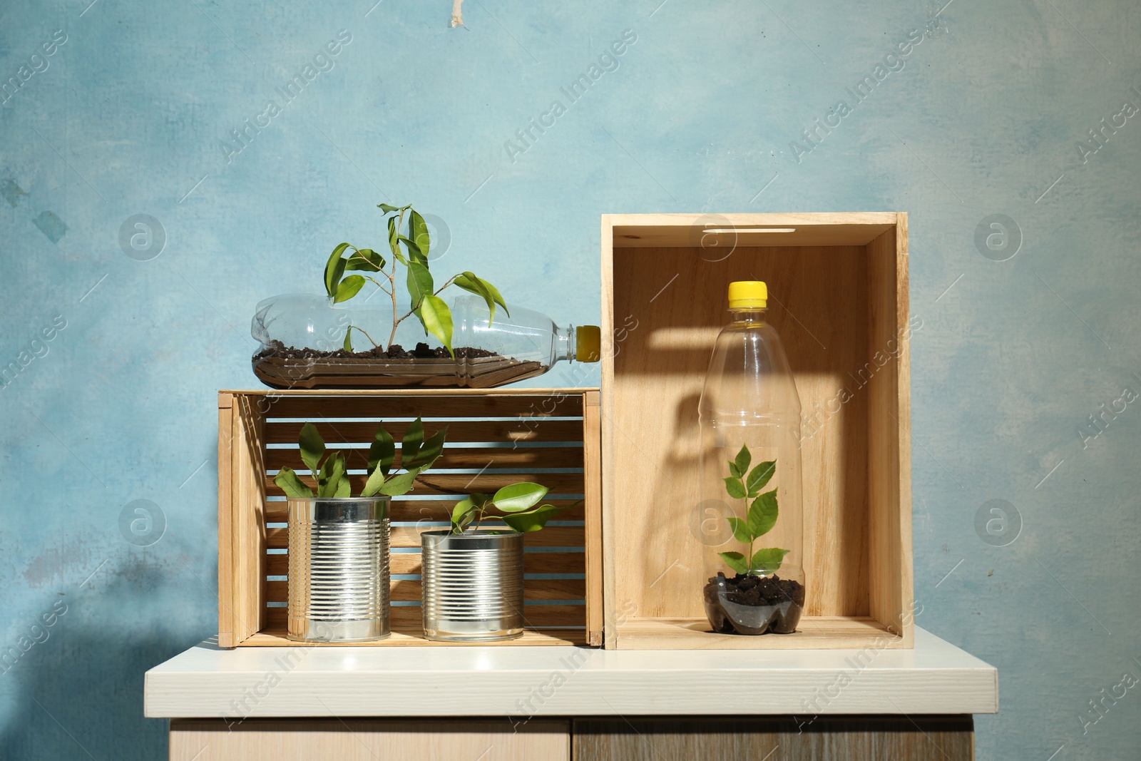 Photo of Recycling concept. Metal cans and plastic bottles with growing plants on side table