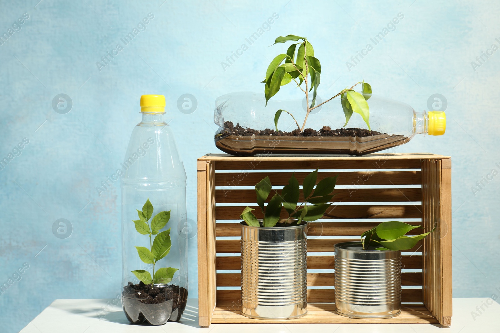 Photo of Recycling concept. Metal cans and plastic bottles with growing plants on white table